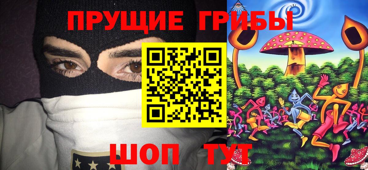 Уссурийск  Псилоцибиновые грибы ЛСД  Вход с VPN  Галлюциногенные грибы Psilocybe 