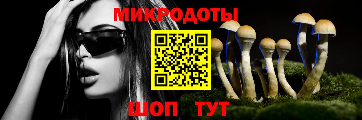 Псилоцибиновые грибы Cubensis Уссурийск